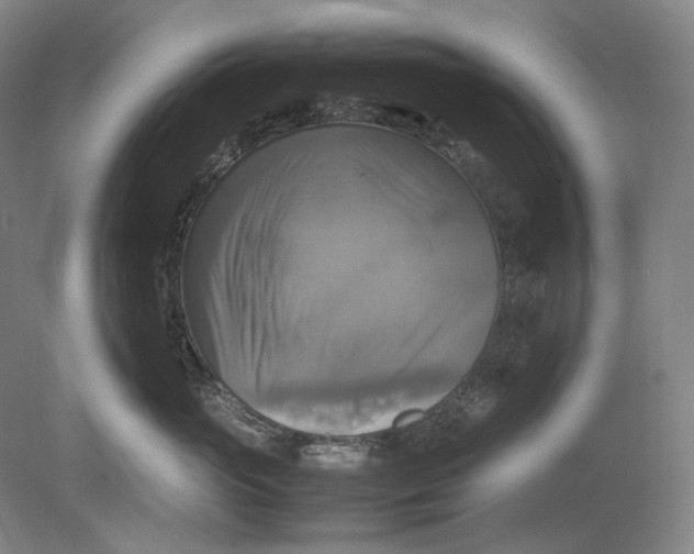 X0000080760765200701051236