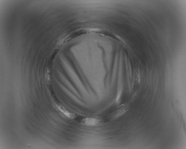 X0000080760766200701051236