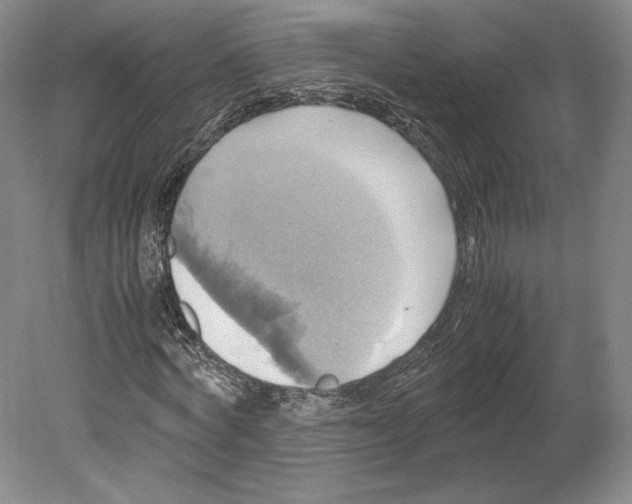 X0000080760772200701051235