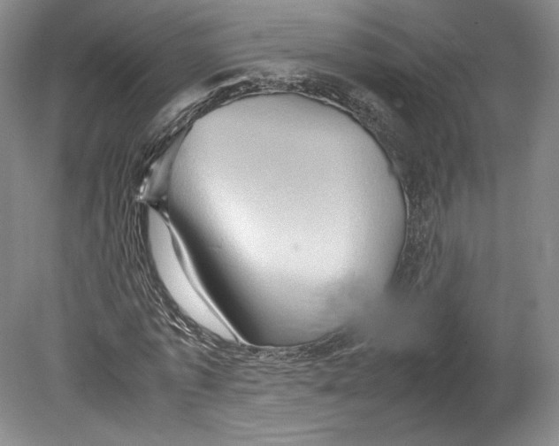X0000080760773200701051235