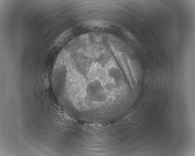 X0000080760774200701051235