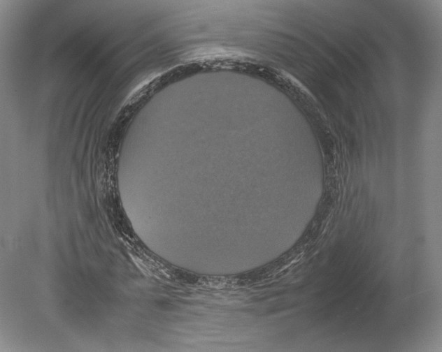 X0000080760775200701051235