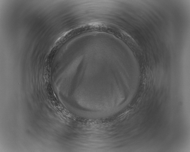 X0000080760776200701051235