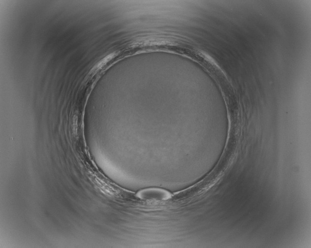 X0000080760777200701051235