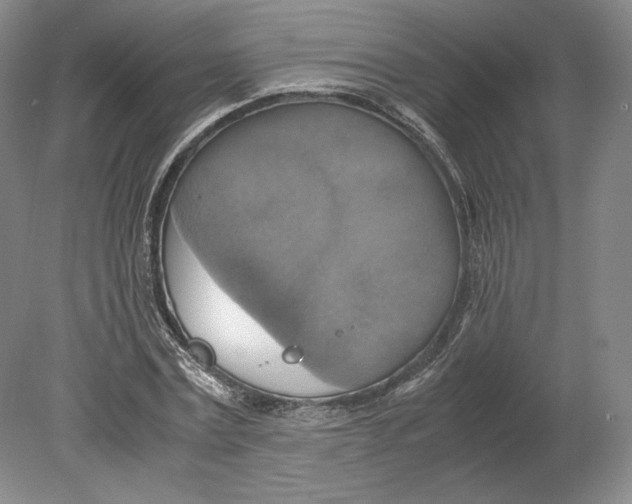 X0000080760779200701051235
