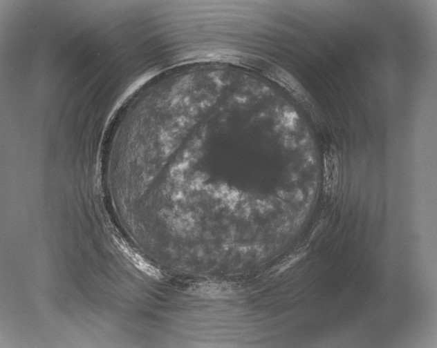 X0000080760780200701051235