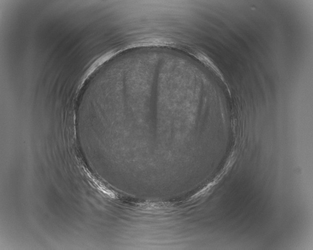 X0000080760781200701051235
