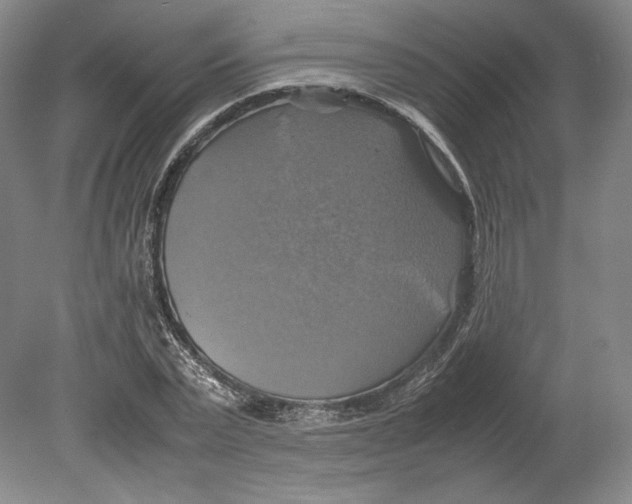X0000080760783200701051235