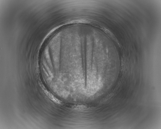 X0000080760784200701051235