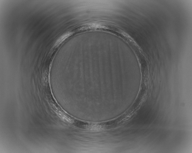 X0000080760785200701051235