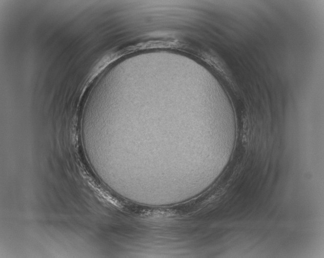 X0000080760786200701051235