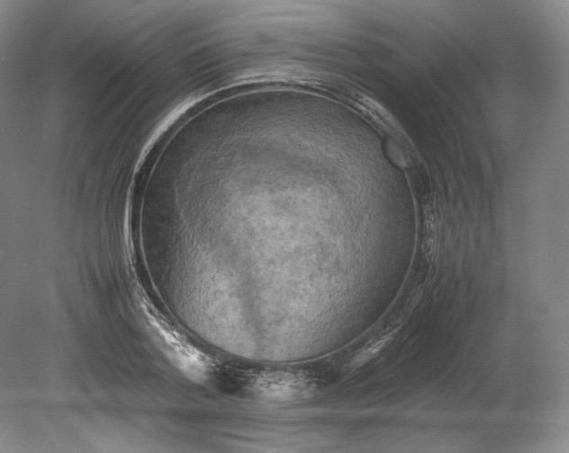 X0000080760788200701051235