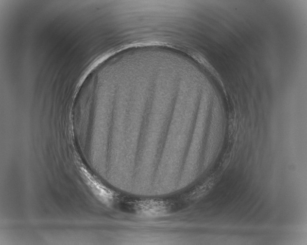 X0000080760789200701051235