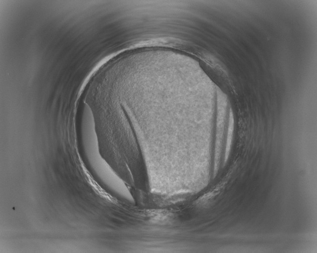 X0000080760792200701051235