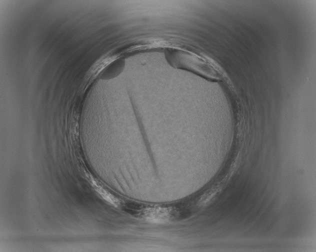 X0000080760793200701051235