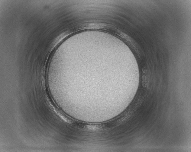 X0000080760794200701051235
