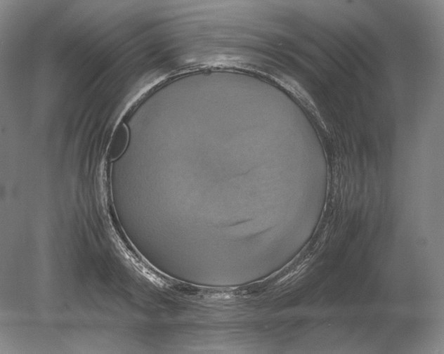 X0000080760798200701051235