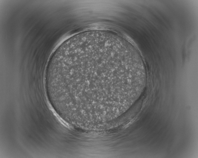 X0000080760803200701051234