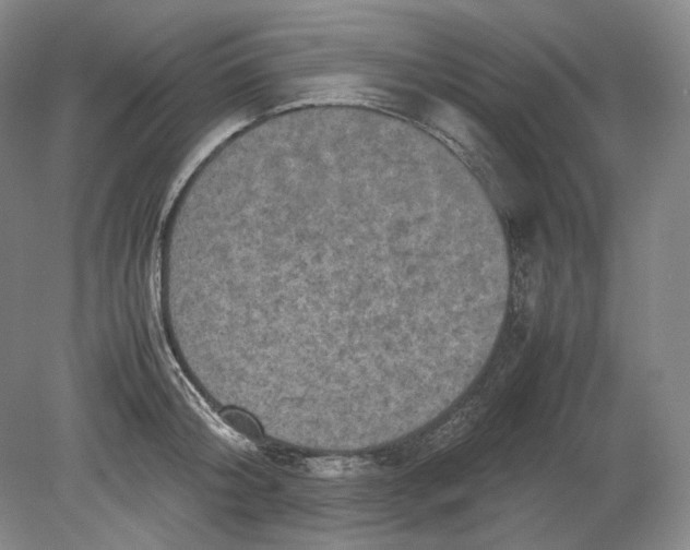 X0000080760804200701051234