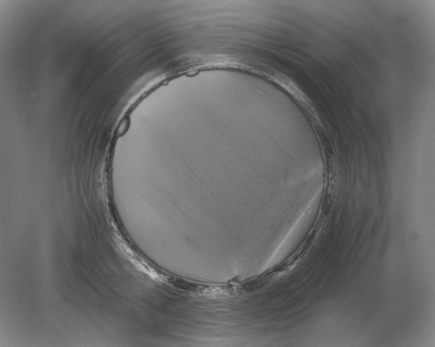 X0000080760806200701051234