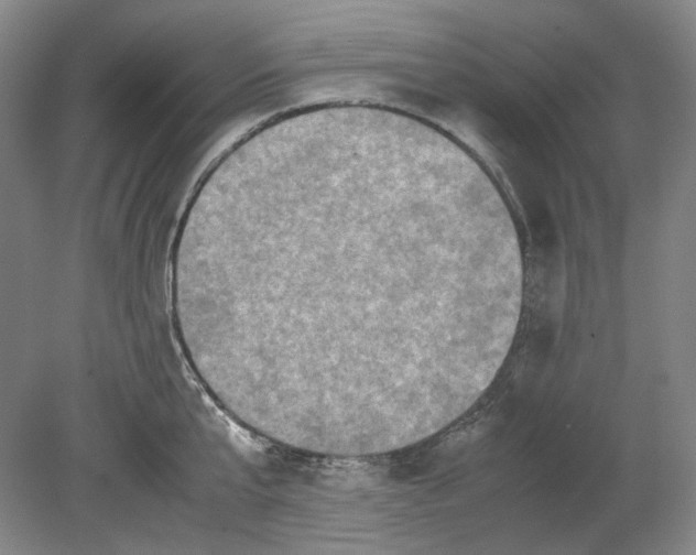 X0000080760807200701051234
