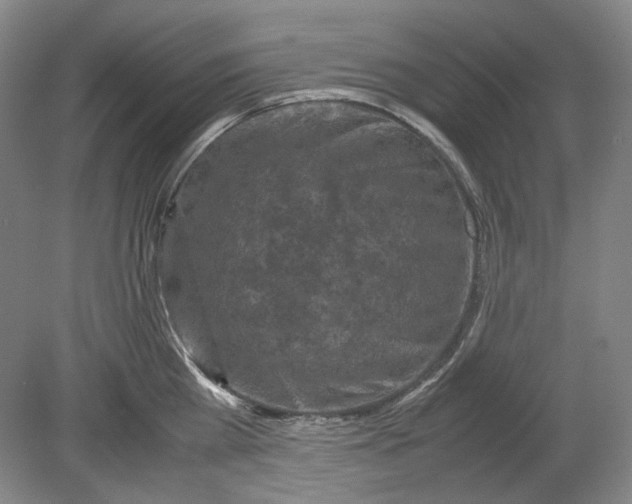 X0000080760809200701051234