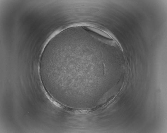 X0000080760813200701051234