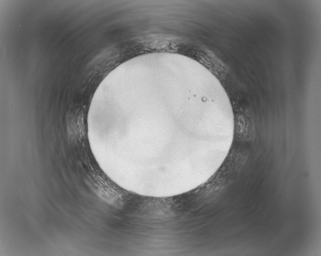 X0000080760820200701051234