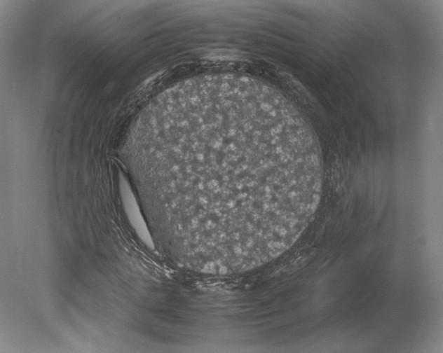 X0000080760821200701051234