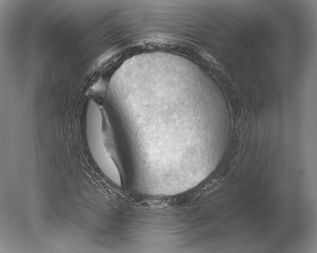 X0000080760822200701051234