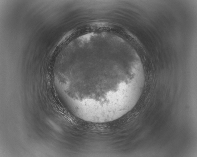 X0000080760823200701051234