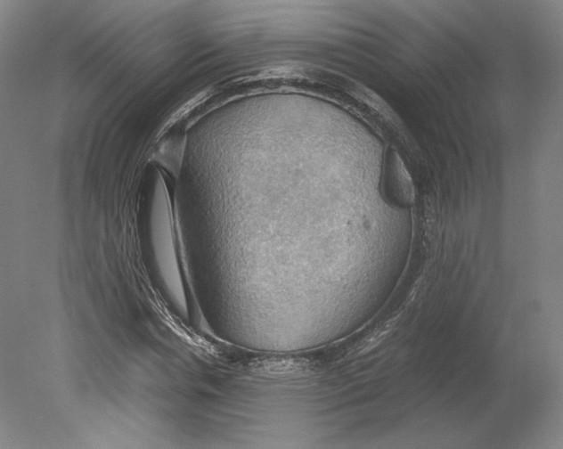 X0000080760826200701051234