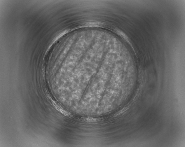 X0000080760827200701051234