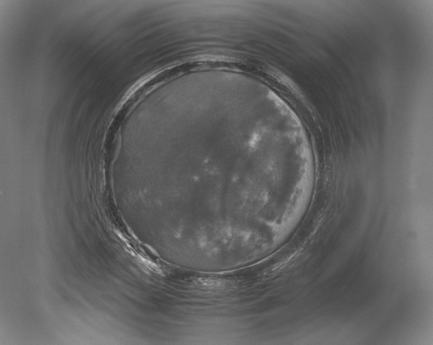 X0000080760829200701051234