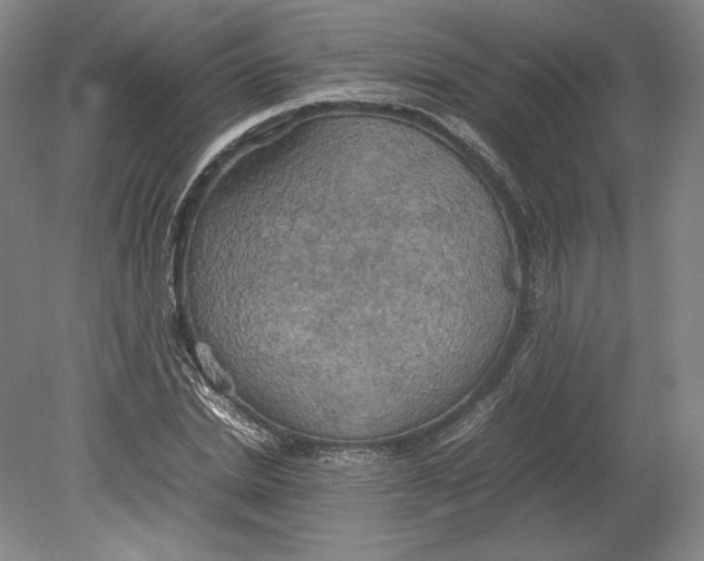 X0000080760830200701051234