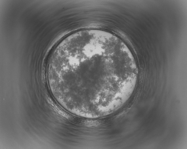 X0000080760835200701051234