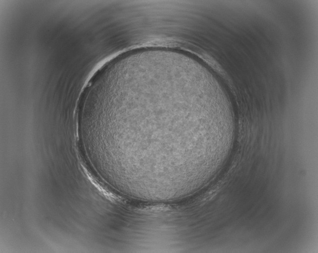 X0000080760838200701051234