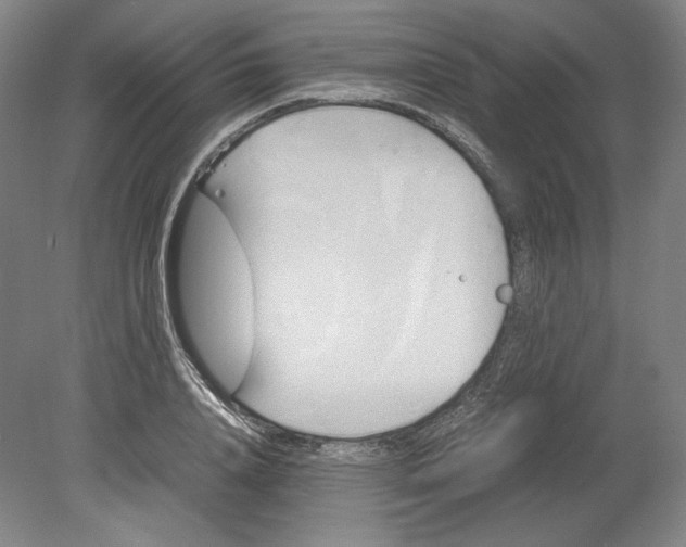X0000080760840200701051234