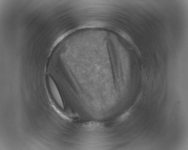 X0000080760842200701051234