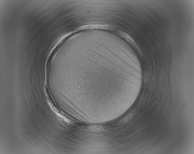 X0000080760844200701051234