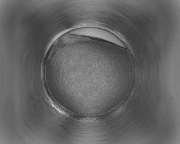 X0000080760846200701051234