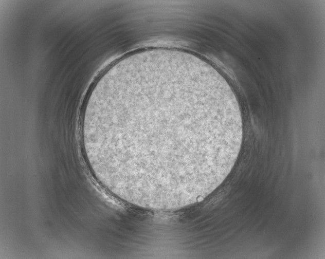 X0000080760848200701051234