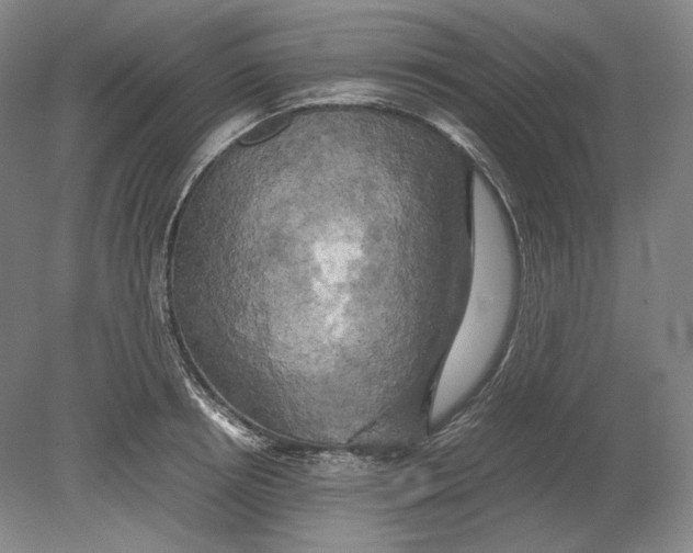 X0000080760850200701051234