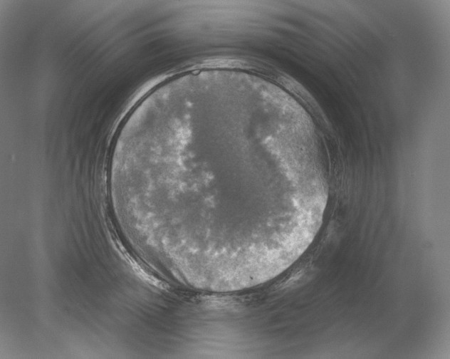 X0000080760852200701051234