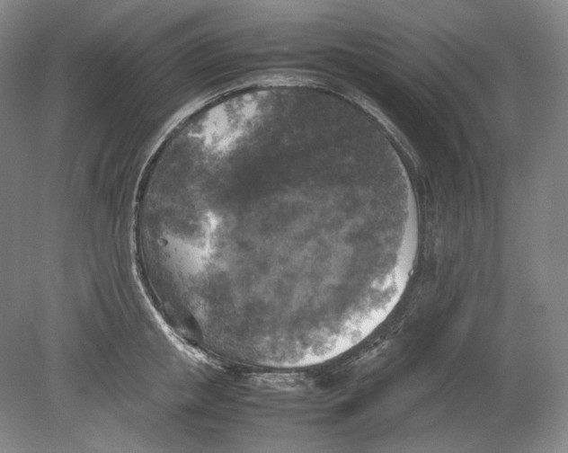 X0000080760853200701051234