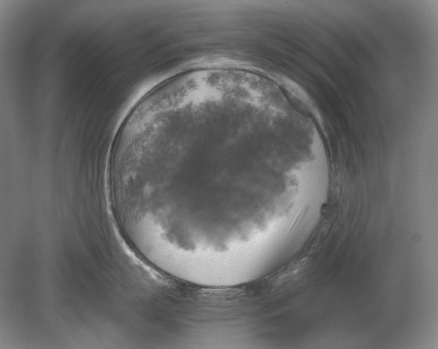 X0000080760863200701051234