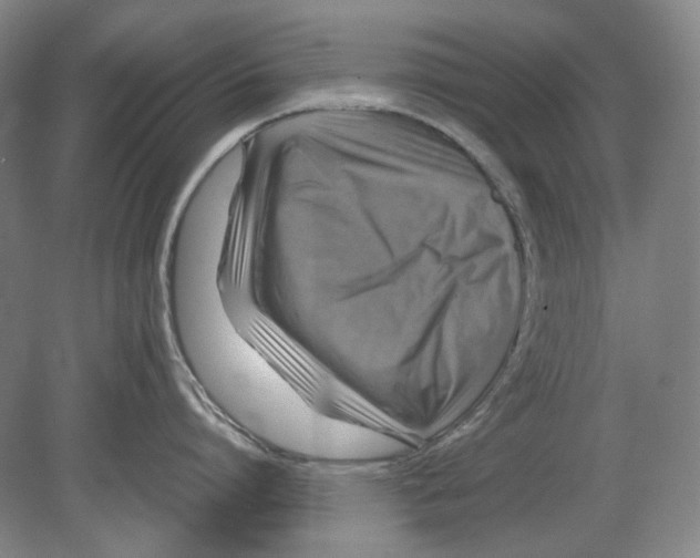 X0000080760864200701051234