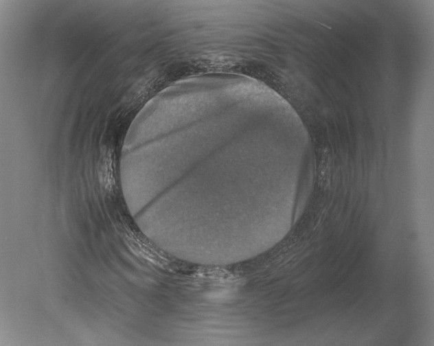 X0000080760866200701051233