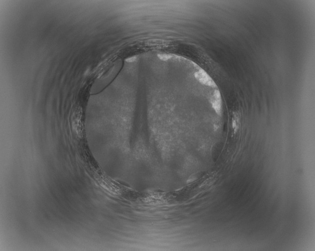 X0000080760867200701051233