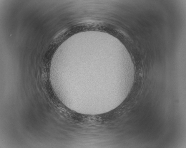 X0000080760869200701051233